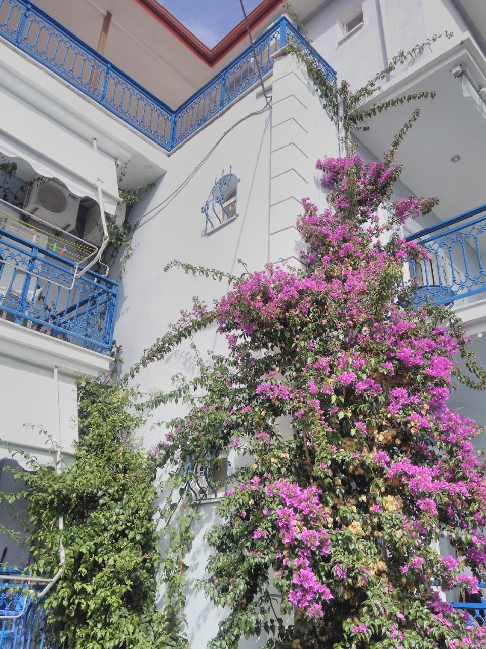 Ionio Gastronomy Suites Ammoudia Eksteriør billede